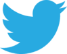 Twitter old logo